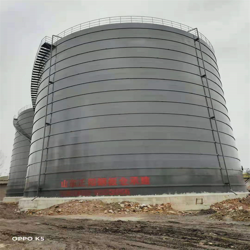 文教镇3万吨大型钢板库