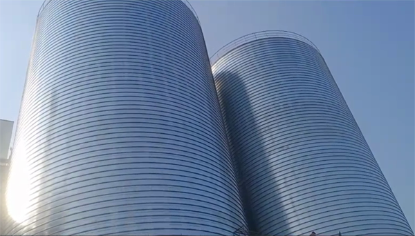 文教镇2座混凝土高架卷板仓